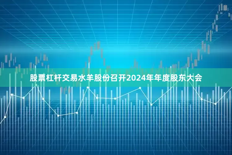 股票杠杆交易水羊股份召开2024年年度股东大会