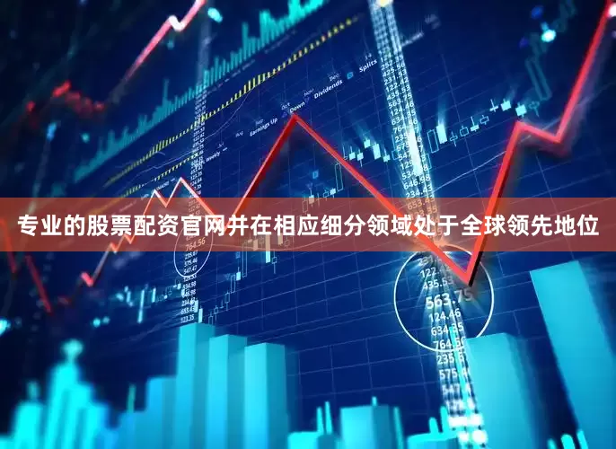 专业的股票配资官网并在相应细分领域处于全球领先地位