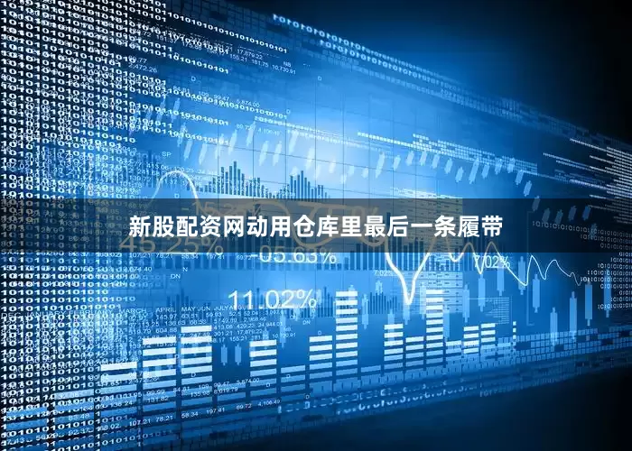 新股配资网动用仓库里最后一条履带
