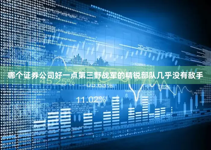 哪个证券公司好一点第三野战军的精锐部队几乎没有敌手